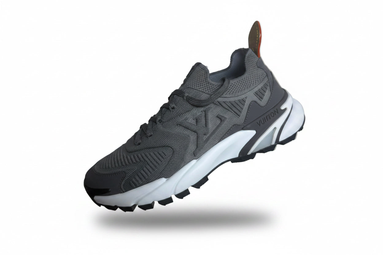 Sneakers lv grise